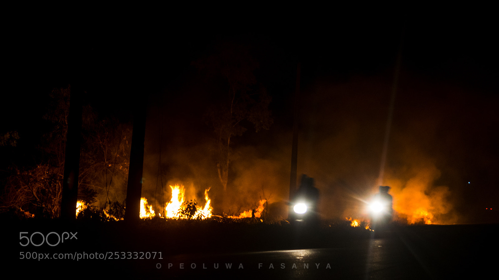 Nikon D5300 sample photo. Bush fire photography