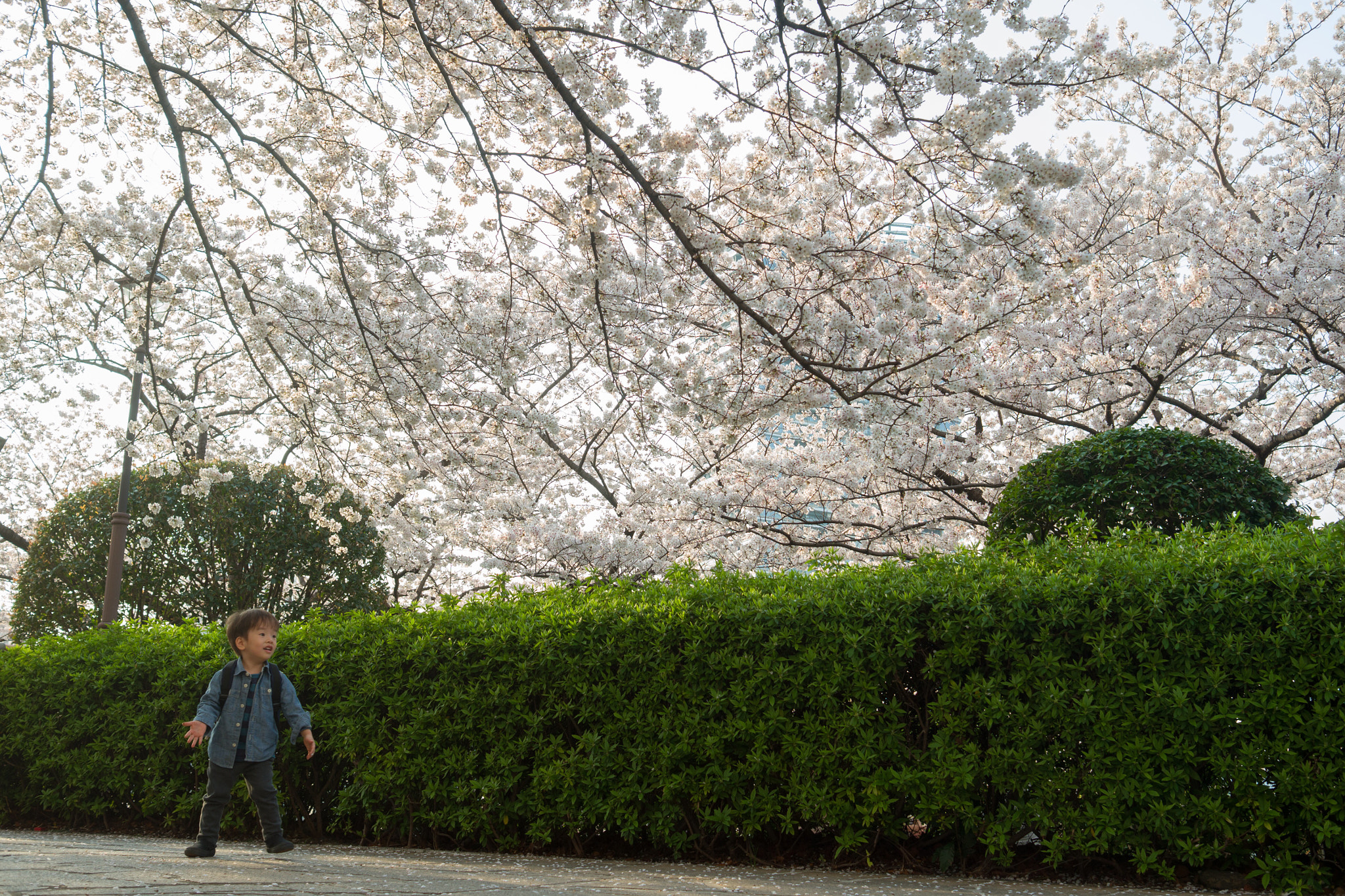 Leica X-E (TYP 102) sample photo. With delight photography