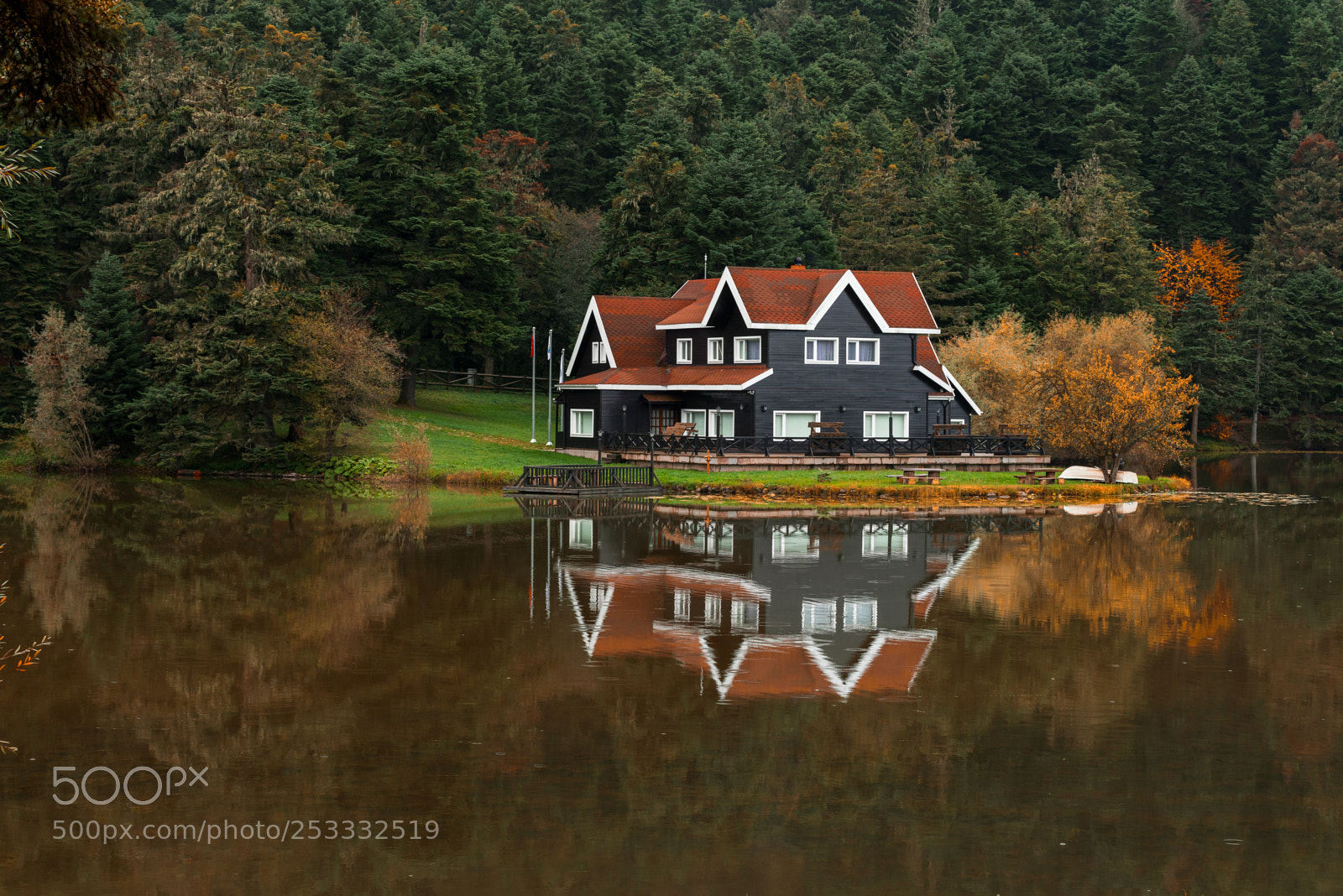 Nikon D600 sample photo. Reflection photography