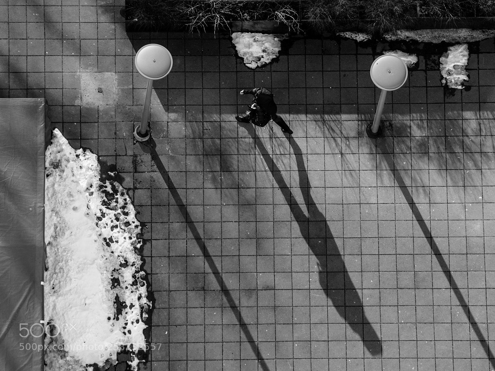 Sony a7 II sample photo. 083/365: looking down photography
