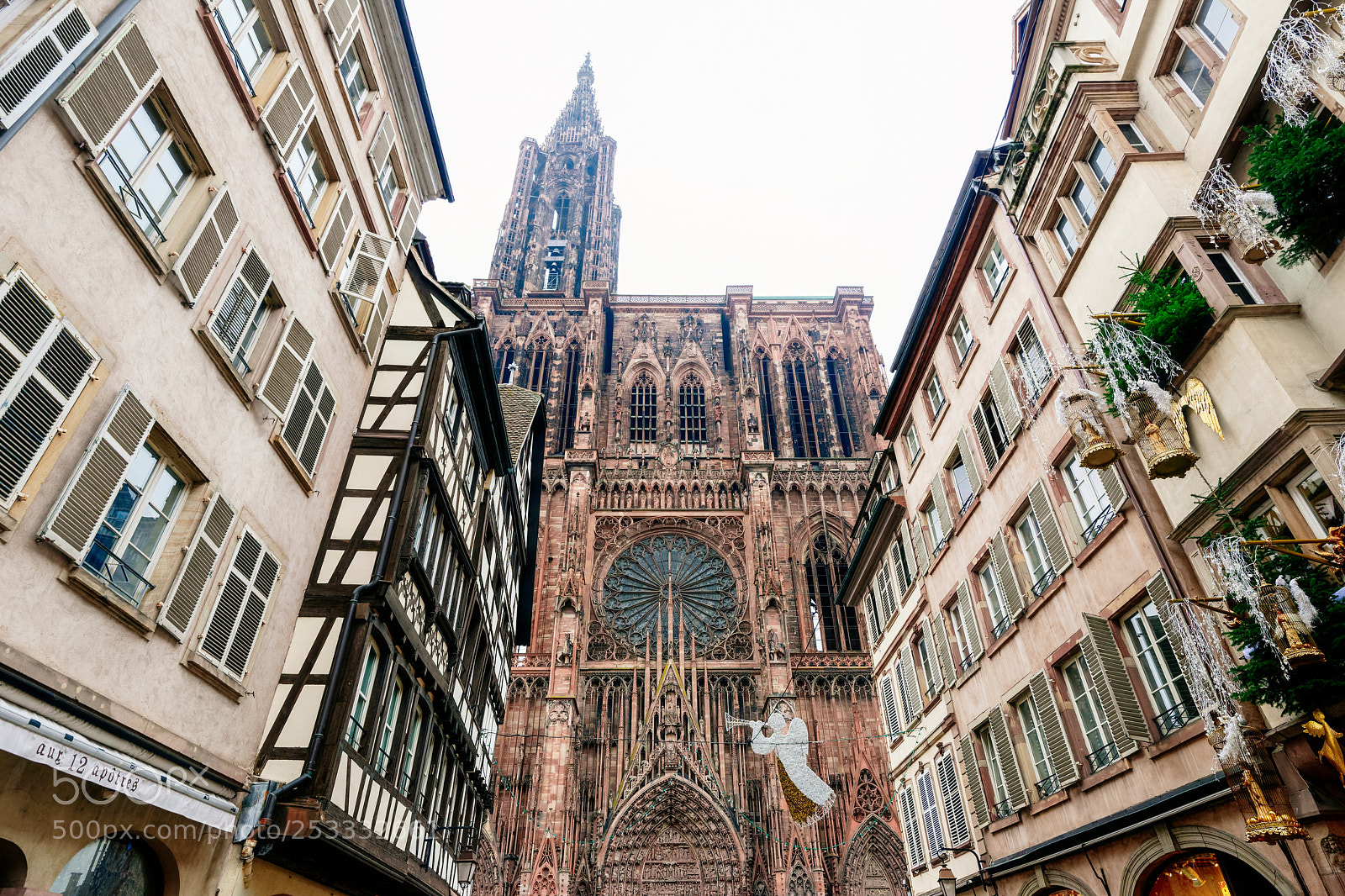 Nikon D800 sample photo. Cath drale notre-dame de photography