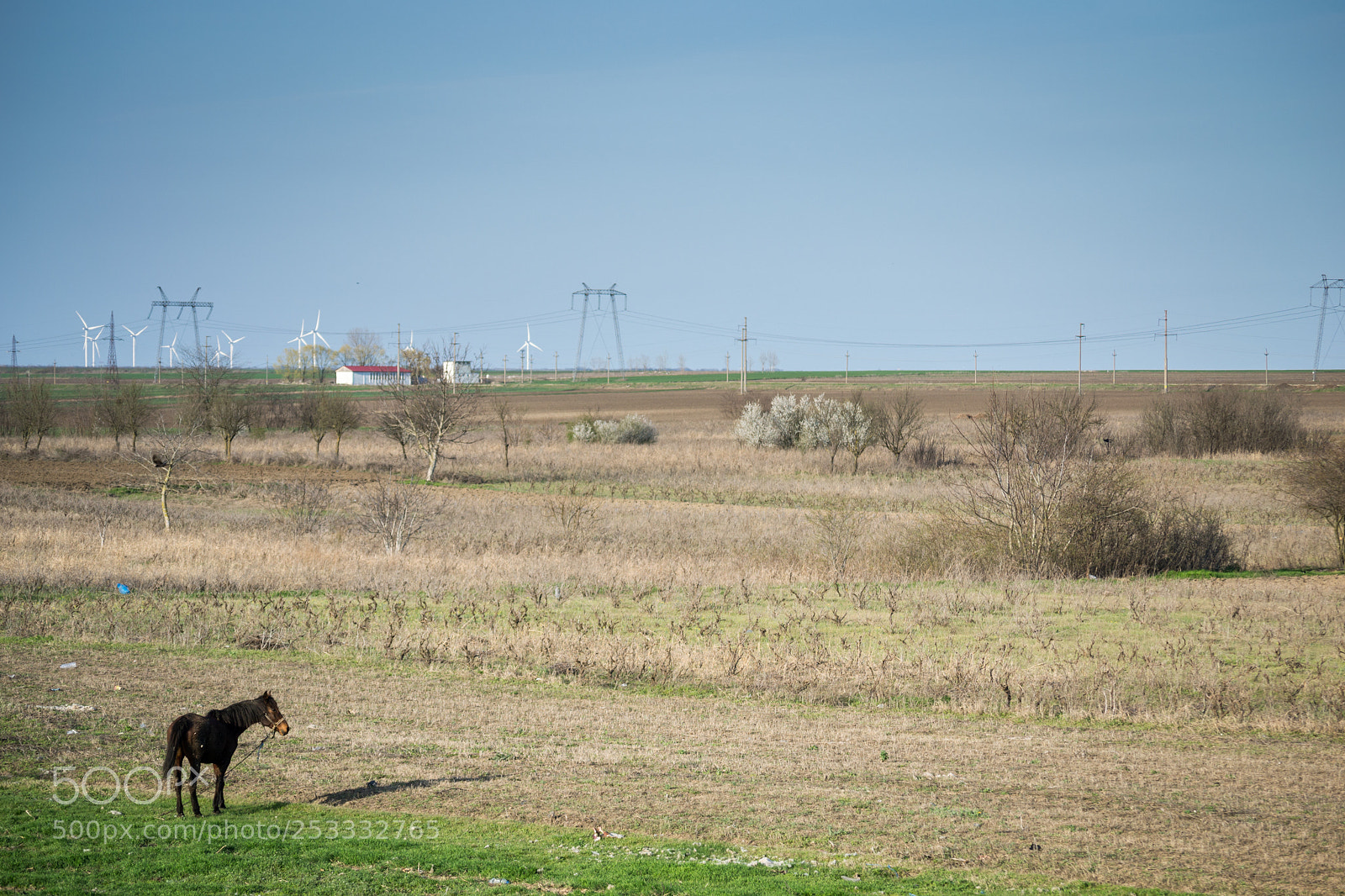 Nikon D3100 sample photo. Rural photography