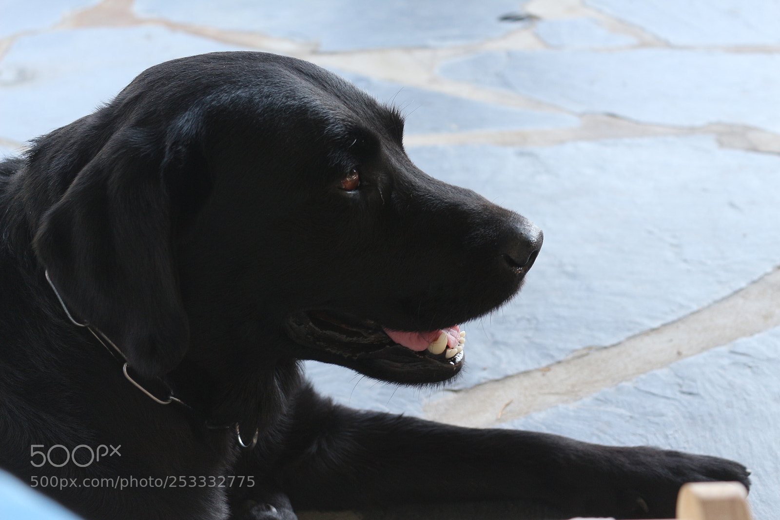 Canon EOS 700D (EOS Rebel T5i / EOS Kiss X7i) sample photo. Img photography