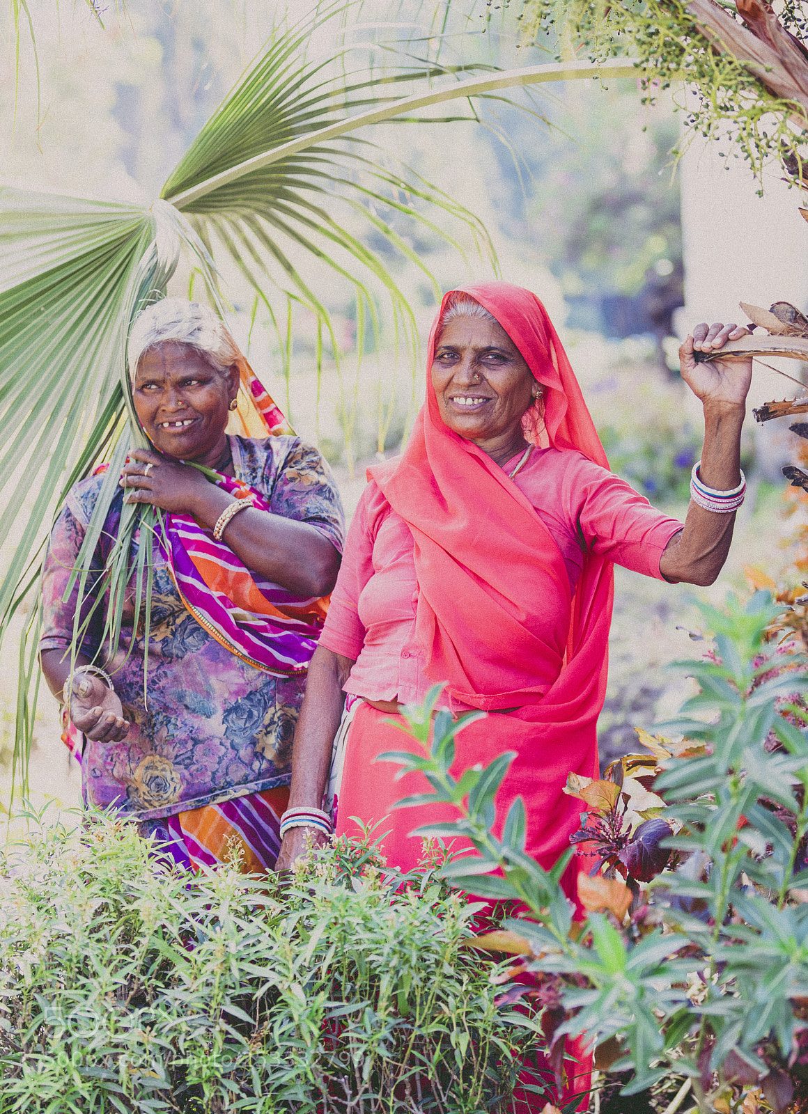 Canon EOS 5D Mark IV sample photo. Incredible india photography