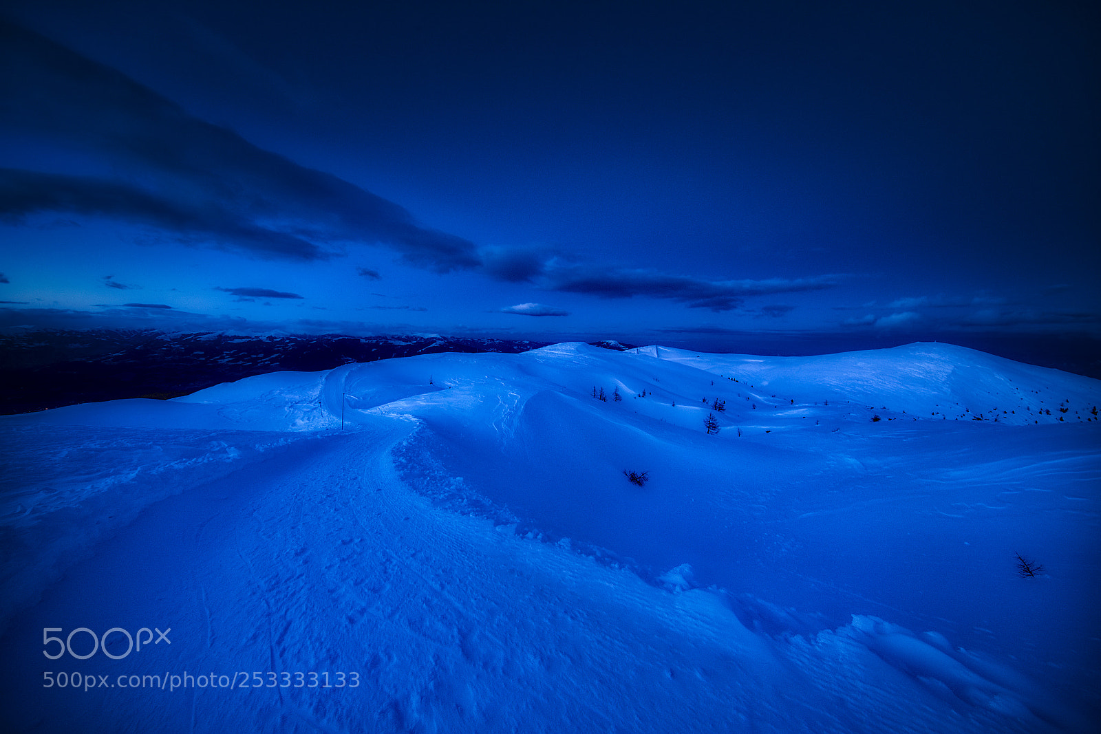 Canon EOS-1D X sample photo. Bluemountain photography