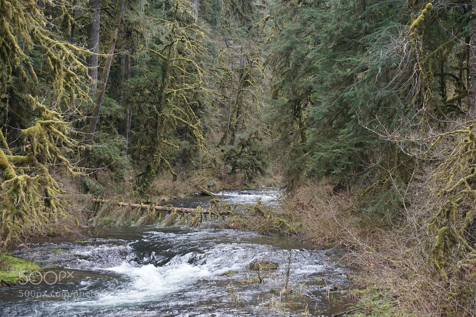 Sony a5100 sample photo. Creek photography