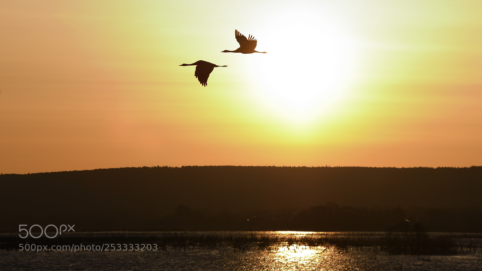 Nikon D7500 sample photo. Summer is coming photography
