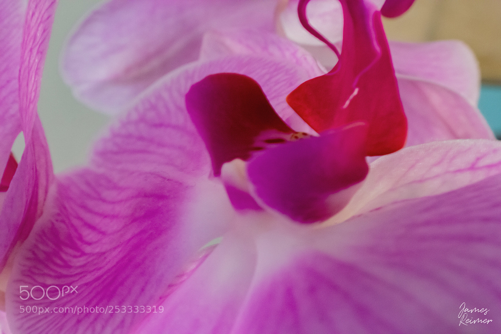 Canon EOS 60D sample photo. Untitled photography