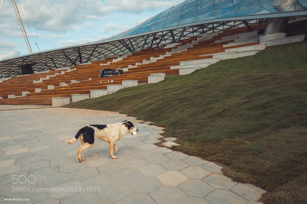Nikon D800 sample photo. Park zaradye opening report photography