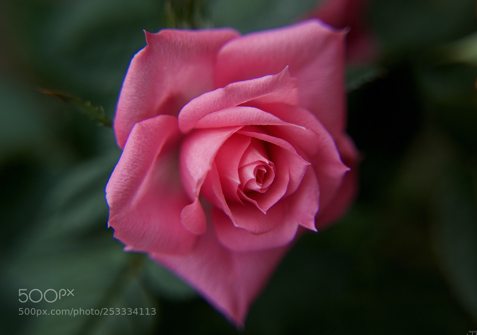 Nikon D3100 sample photo. Envie... que tu sois photography