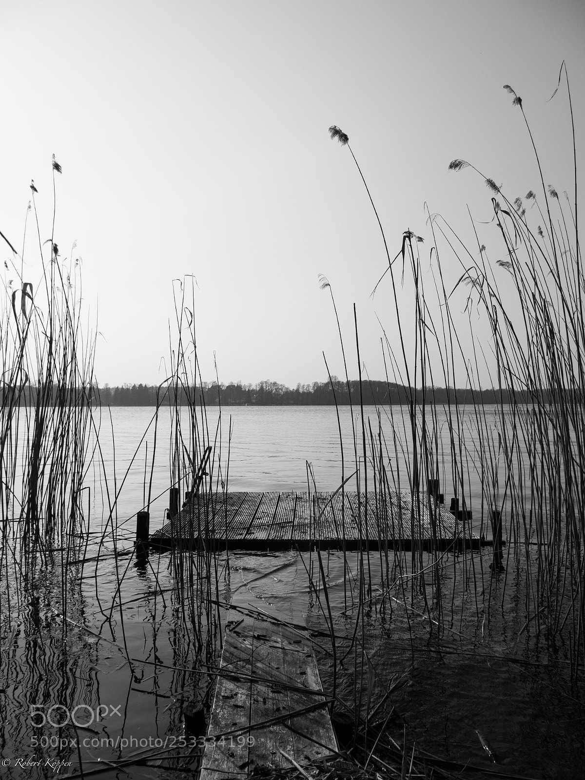 Olympus OM-D E-M1 sample photo. Lake photography