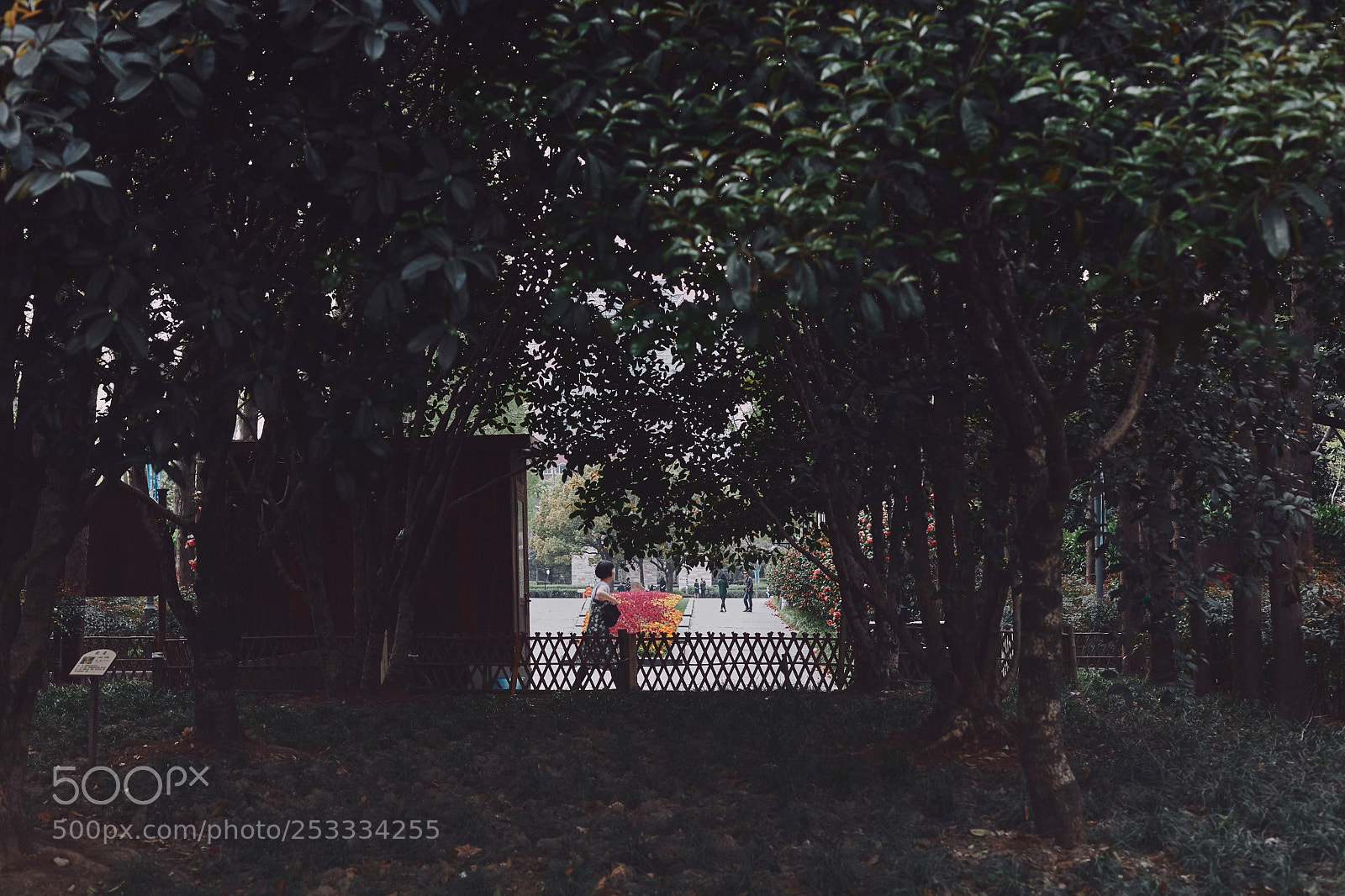 Canon EOS 5DS sample photo. Coincidence photography