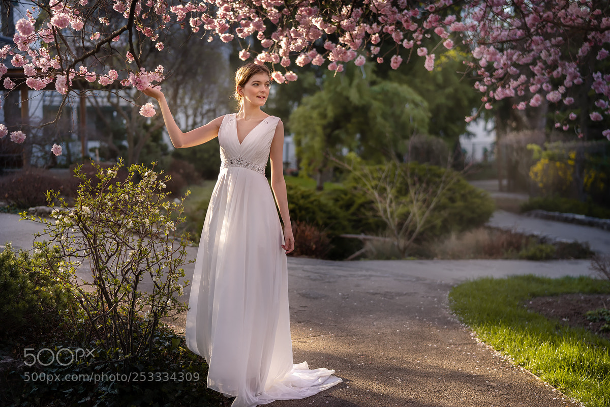 Sony a7 II sample photo. Young woman in wedding photography