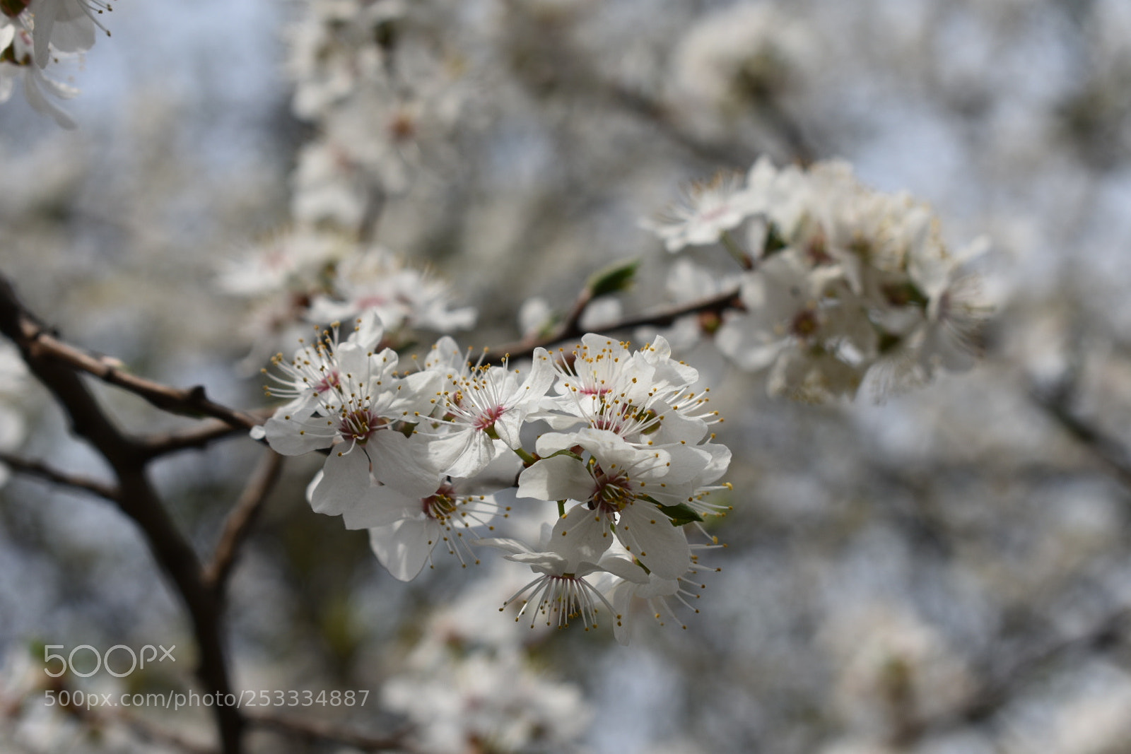 Nikon D3400 sample photo. Untitled photography