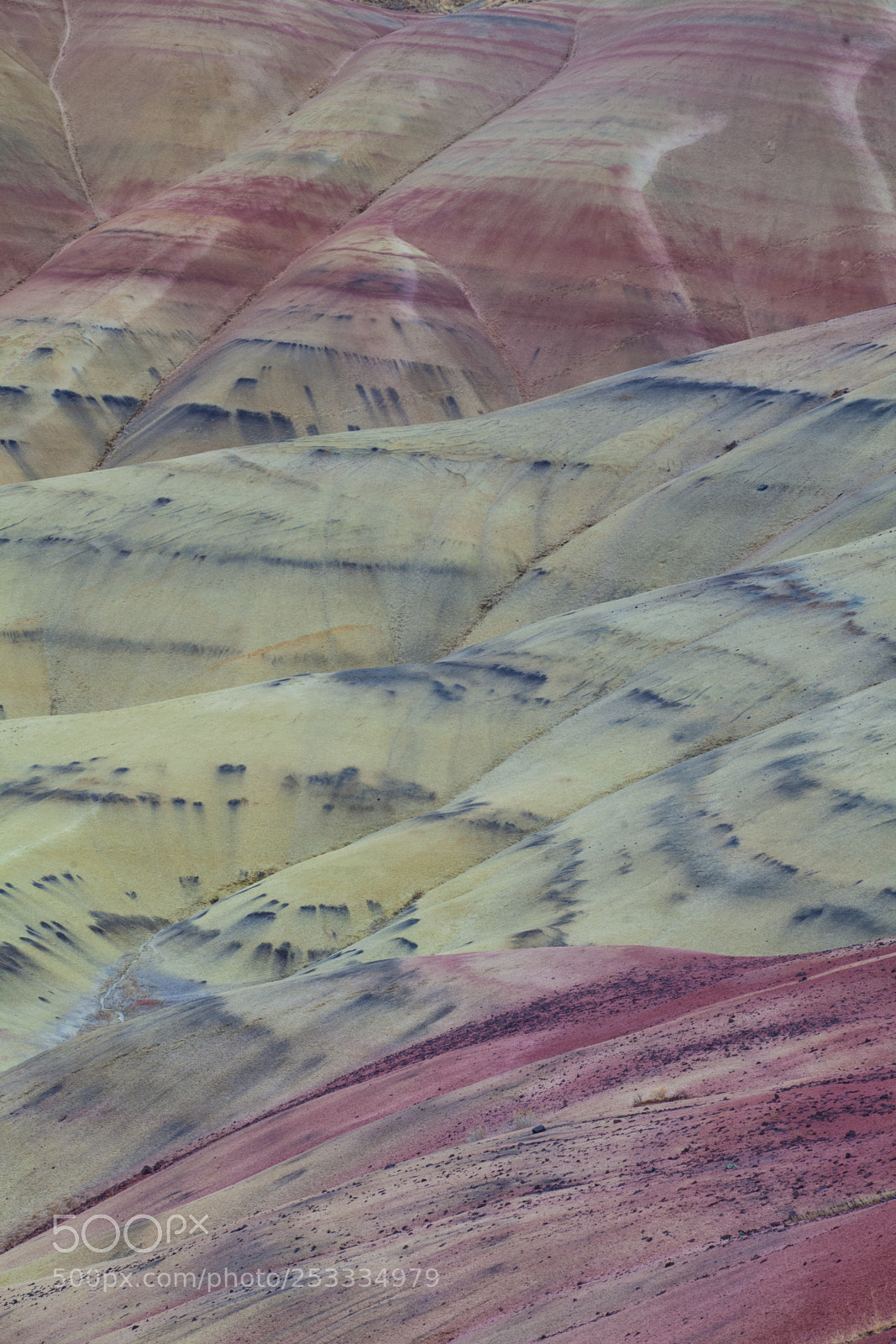 Canon EOS 5D Mark II sample photo. Painted hills abstract photography