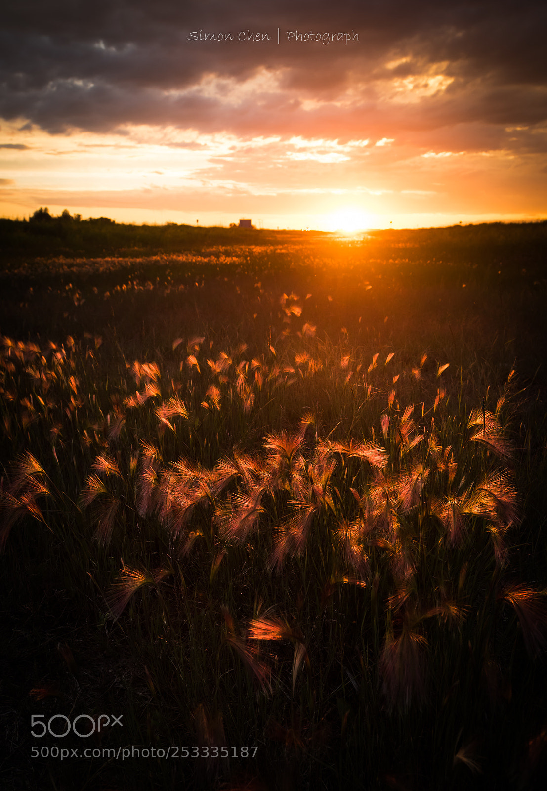 Nikon D810 sample photo. Sunset photography