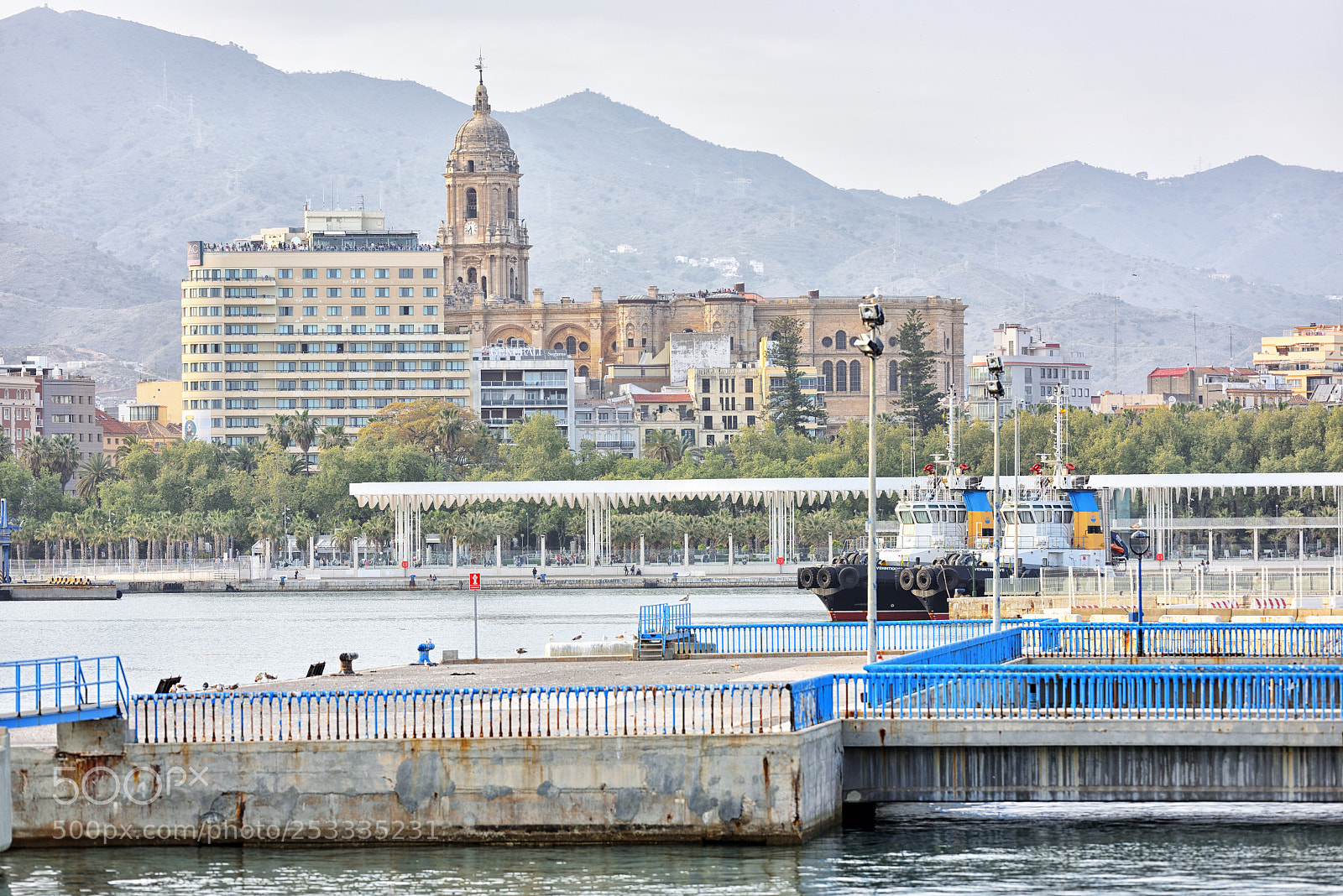 Nikon D810 sample photo. Malaga cathedral photography
