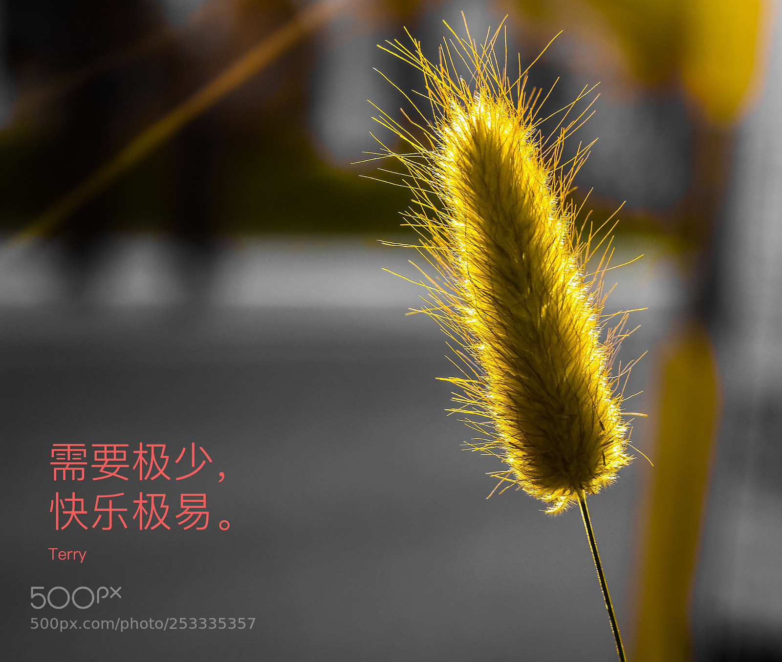 Canon EOS 60D sample photo. Untitled photography