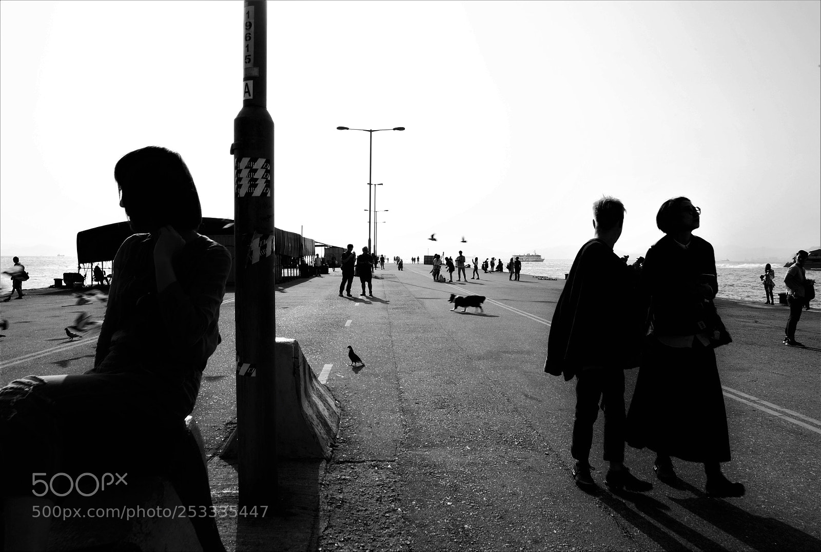 Canon EOS 5DS R sample photo. B&w ver. photography