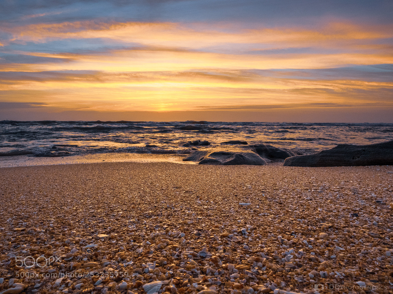 Olympus OM-D E-M1 sample photo. Sunrise walk photography