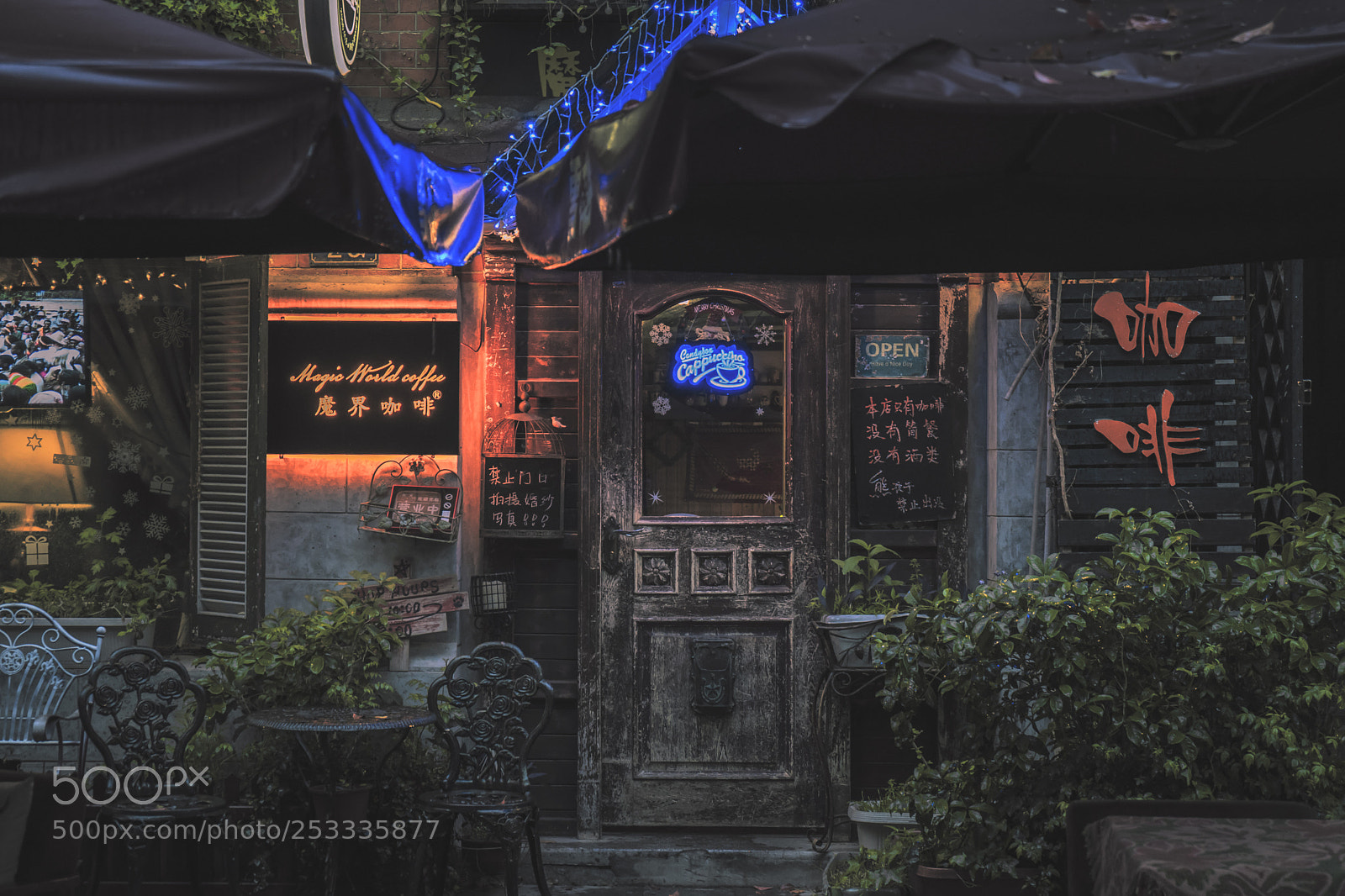 Sony a7 II sample photo. Entrance to a magic photography