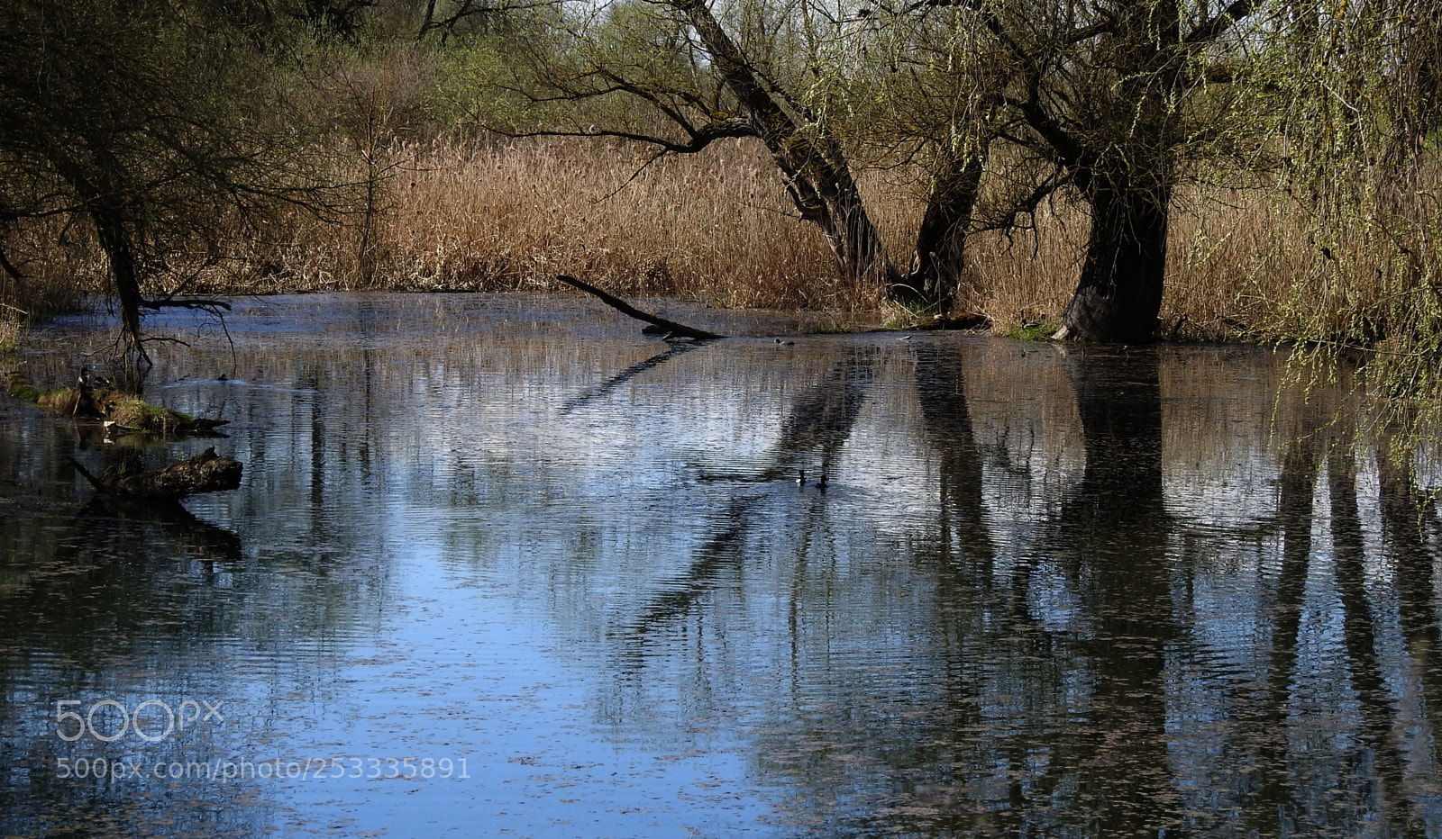 Nikon Coolpix P900 sample photo. Donau photography