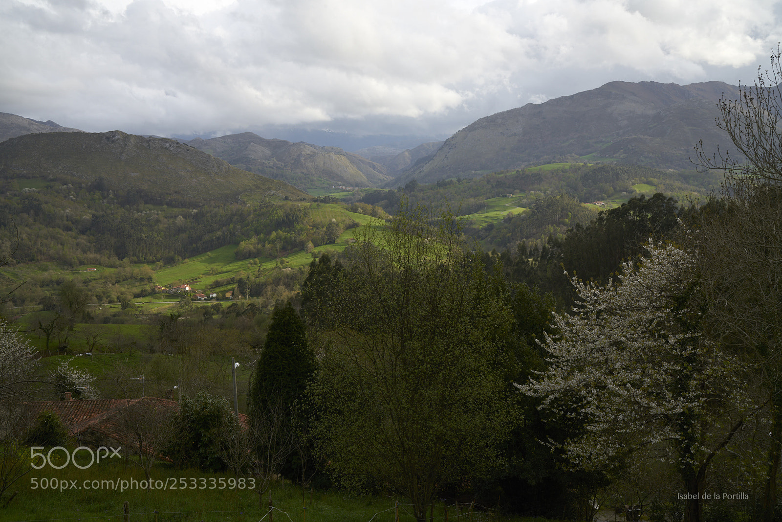 Sony a7R II sample photo. Spring evening in picos photography