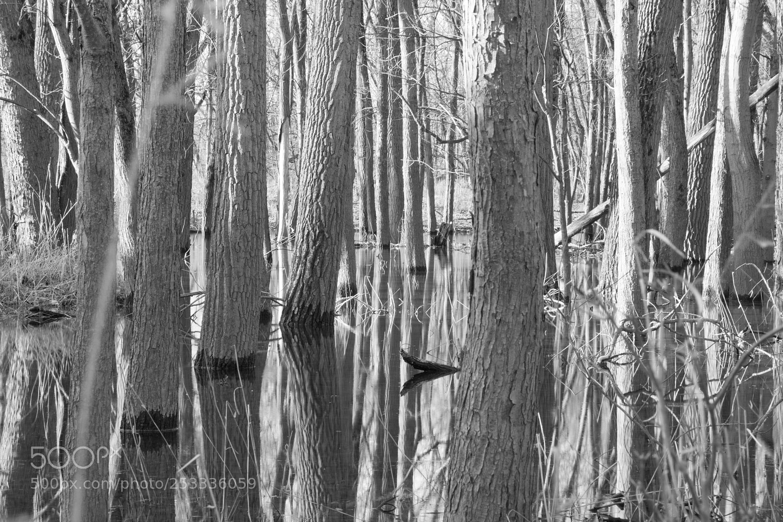 Nikon D7200 sample photo. Spring 18' photography