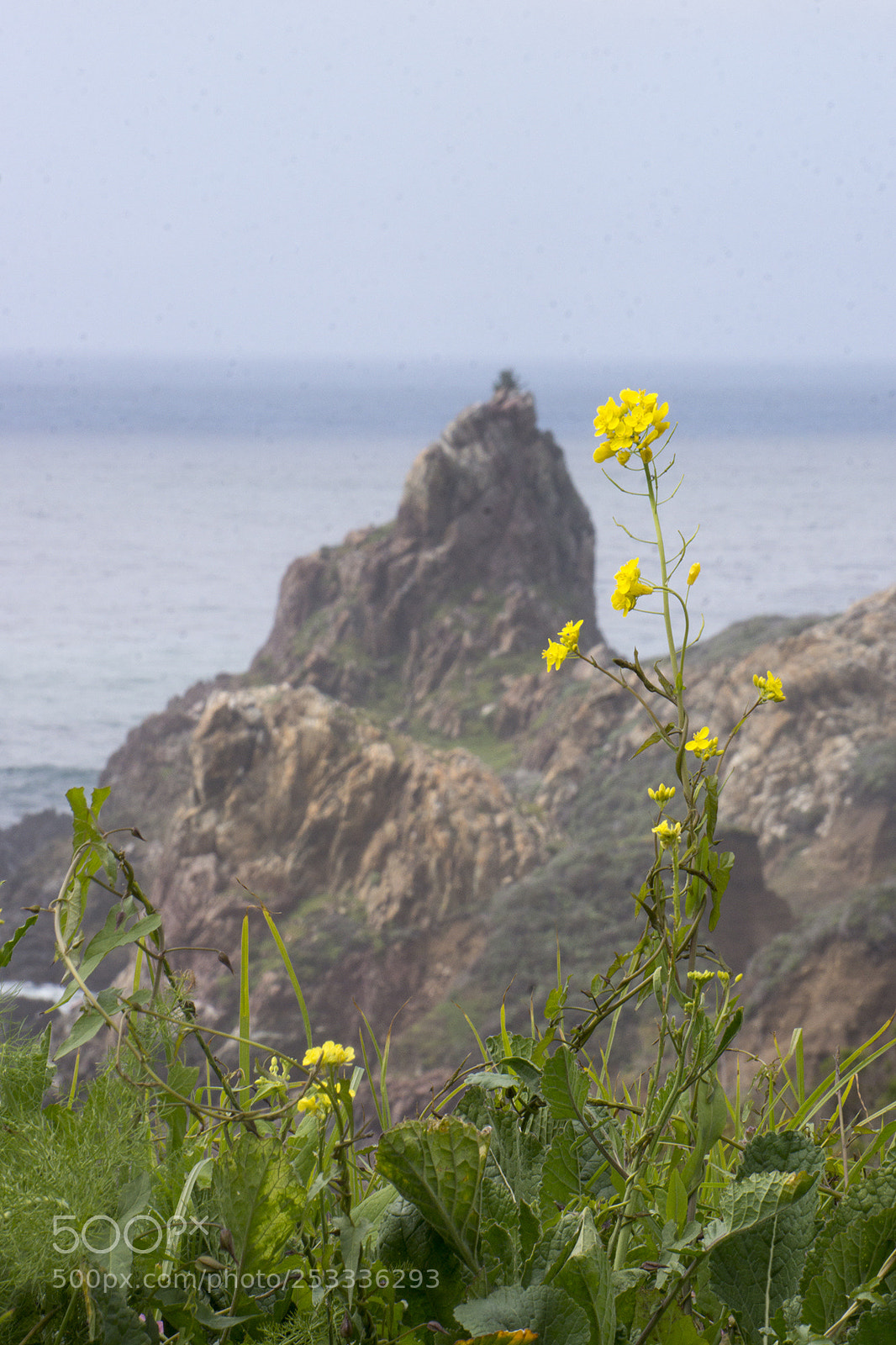 Sony Alpha NEX-7 sample photo. Spring photography
