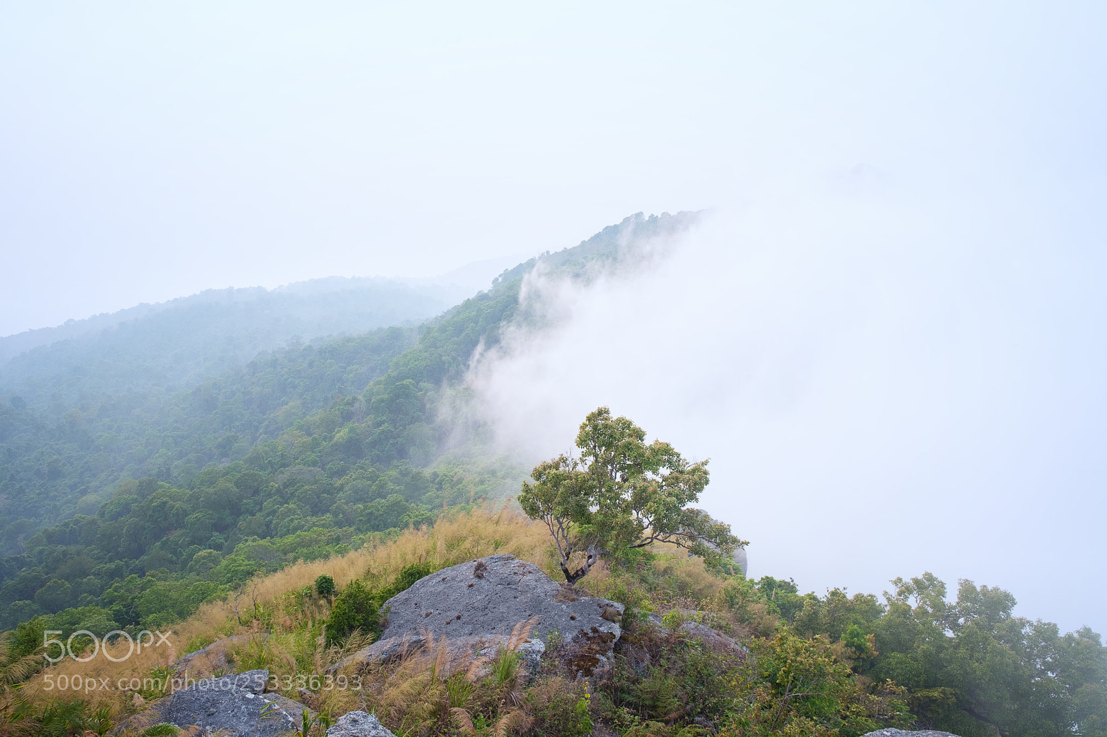 Fujifilm X-T2 sample photo. Beautiful view from mountain photography