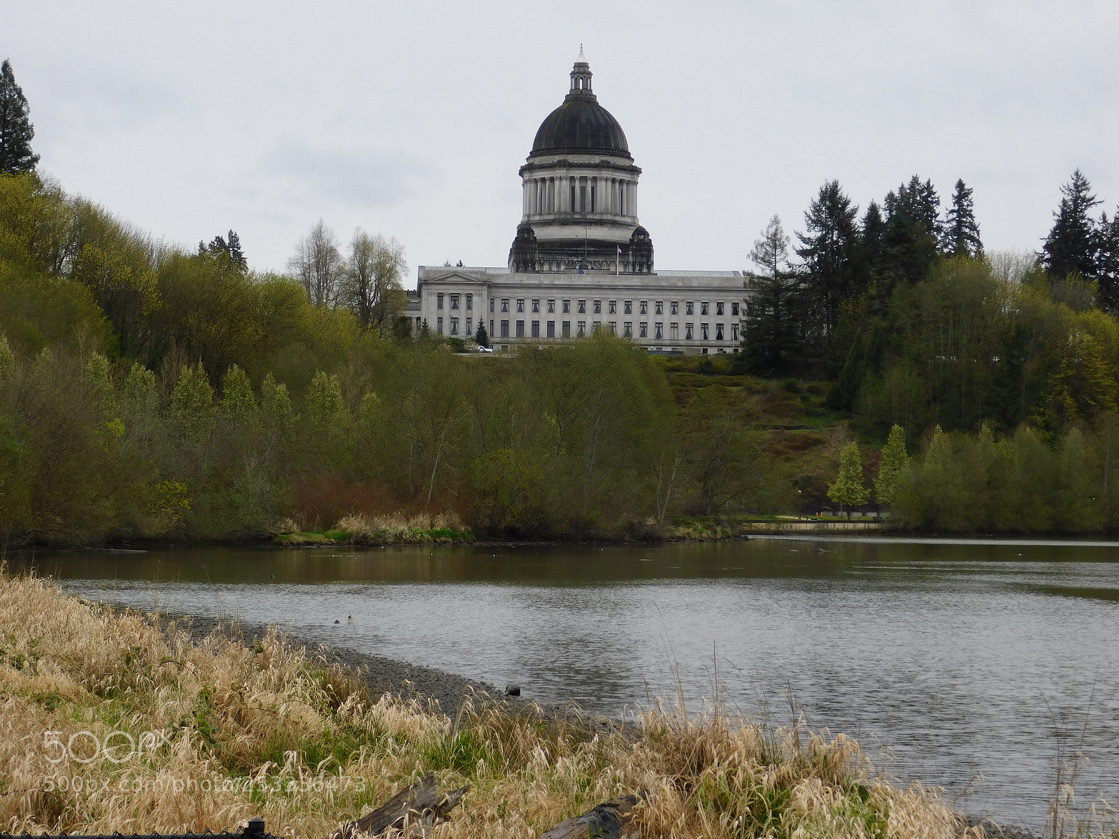 Nikon Coolpix B500 sample photo. Capital dome, olympia wa photography