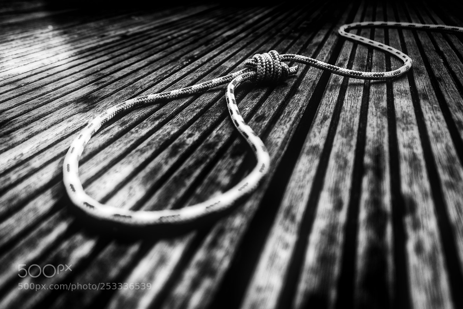 Canon EOS 750D (EOS Rebel T6i / EOS Kiss X8i) sample photo. Hangman's knot photography
