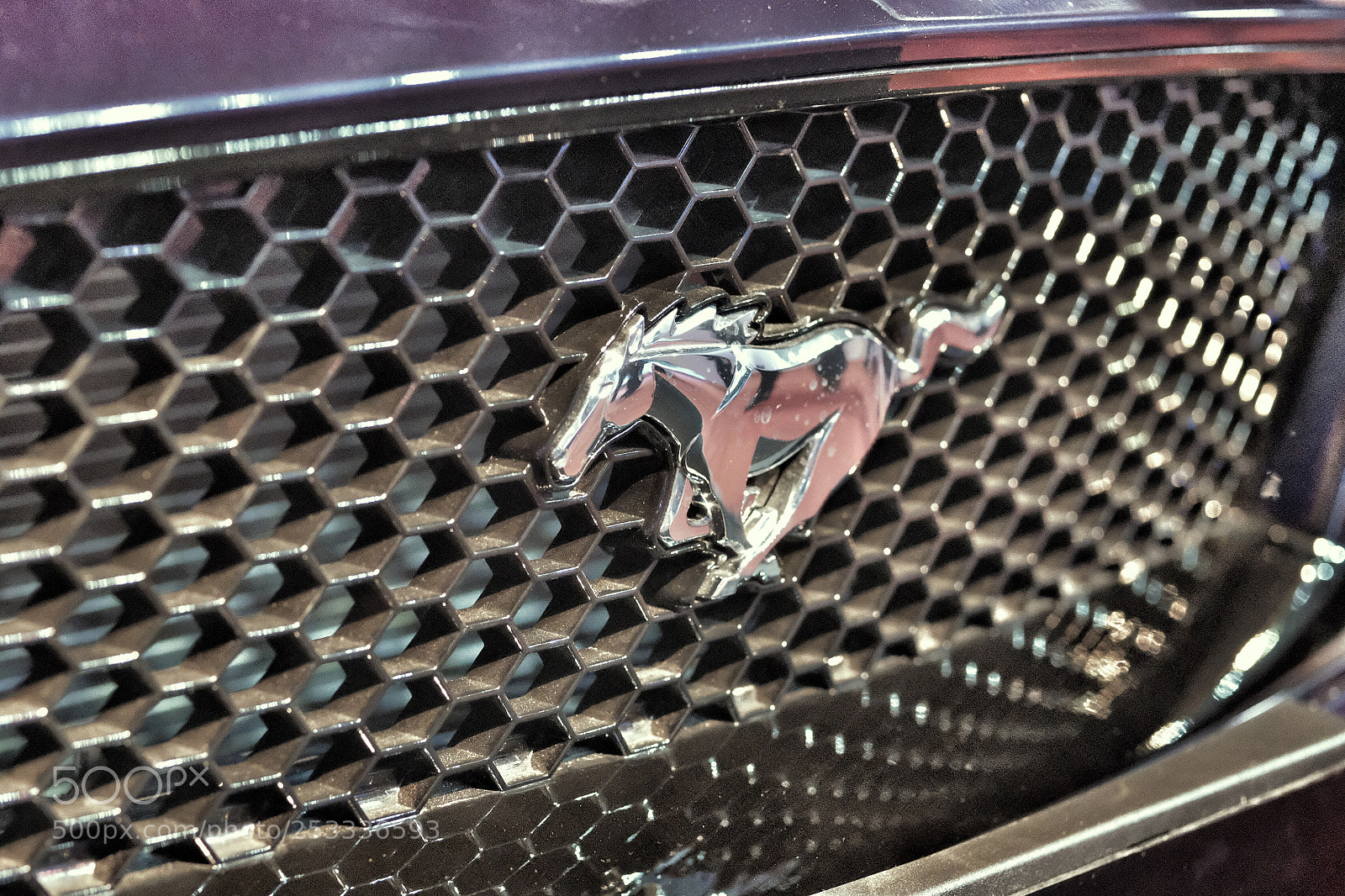 Fujifilm X-T2 sample photo. Ford mustang gt photography
