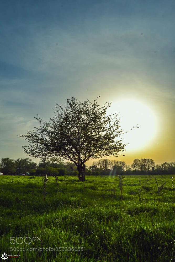 Nikon D3100 sample photo. Sunset photography