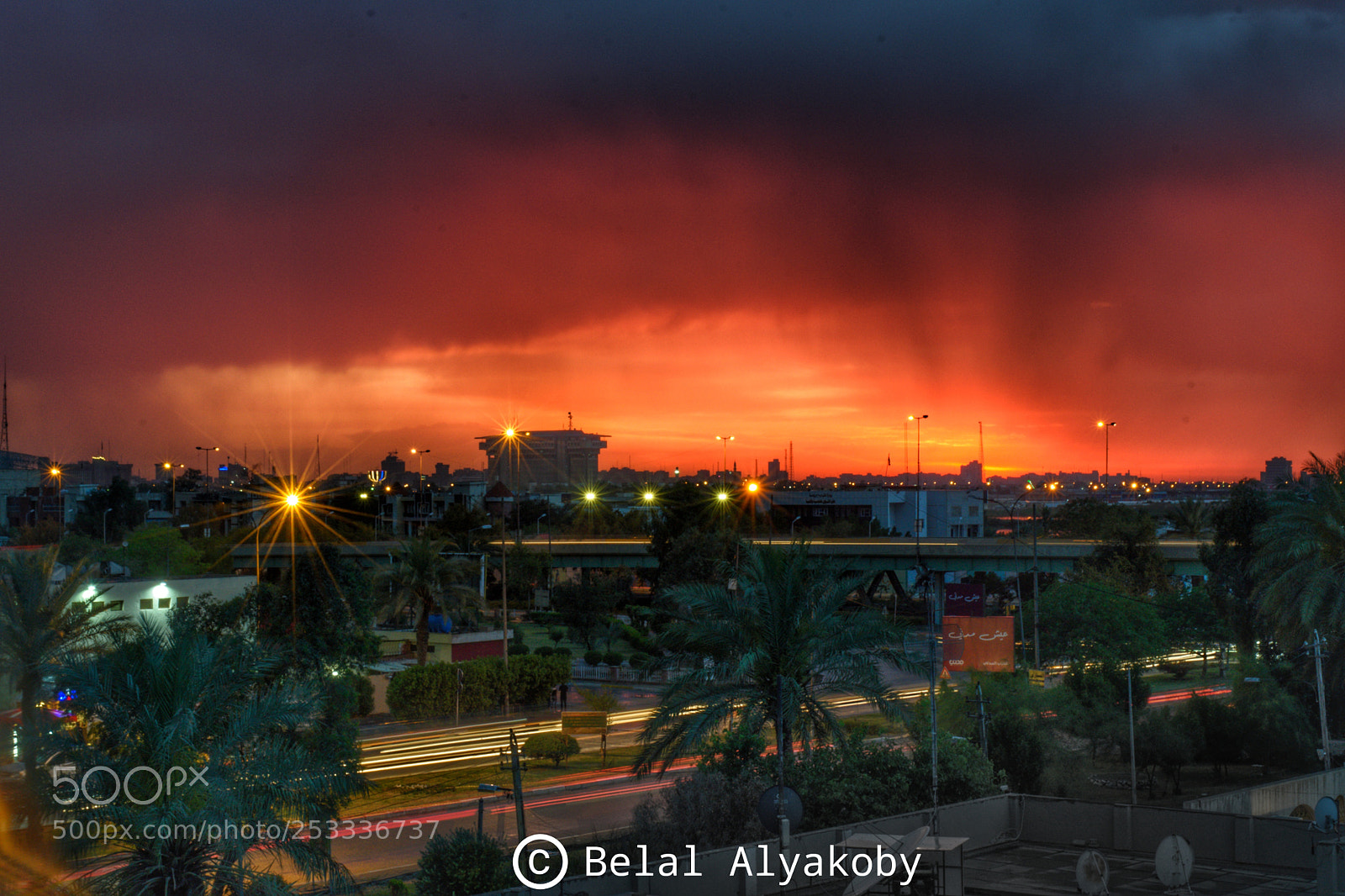 Nikon D5500 sample photo. Sun light photography