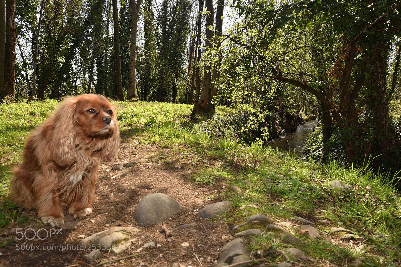Nikon D5500 sample photo. Dsc photography