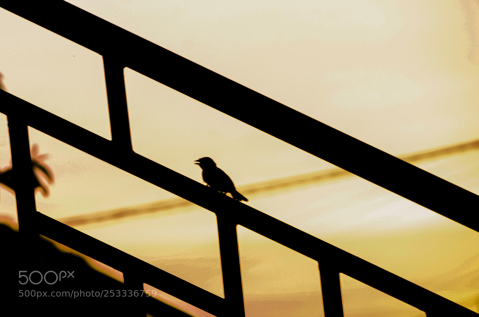 Nikon D7000 sample photo. Untitled photography