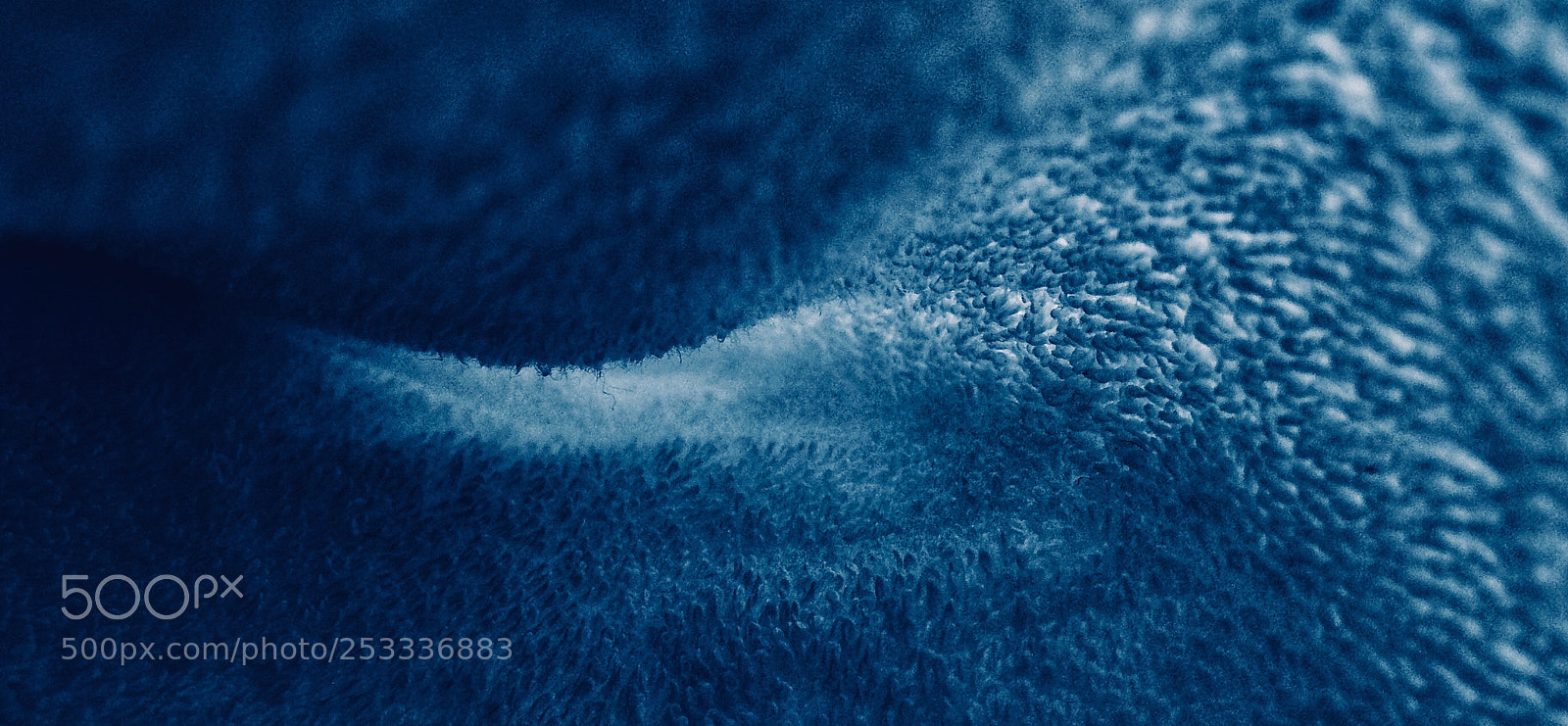 Apple iPhone 5s sample photo. Inside the absorbent fabric !!! photography