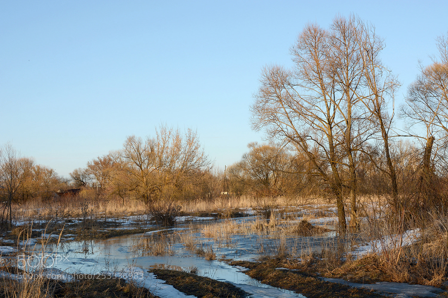 Nikon D7100 sample photo. Рыжая весна. photography