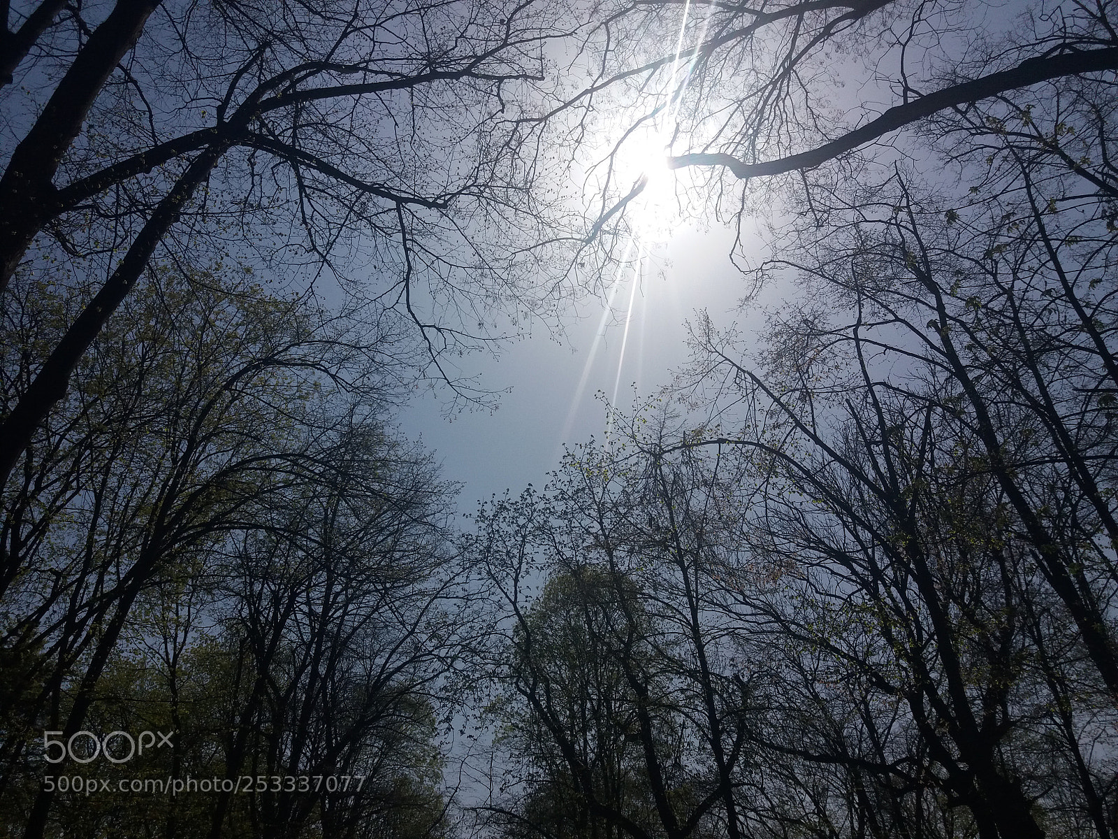 Samsung Galaxy J5(2016) sample photo. Untitled photography