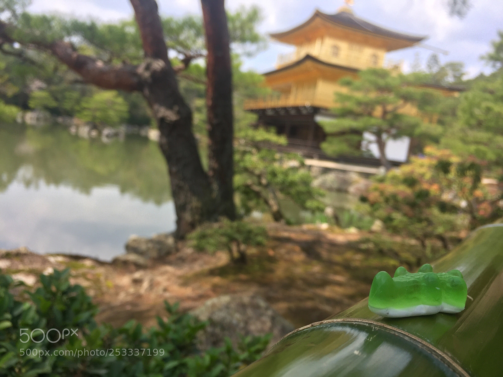 Apple iPhone 6 sample photo. Compagno di viaggio verde
 photography