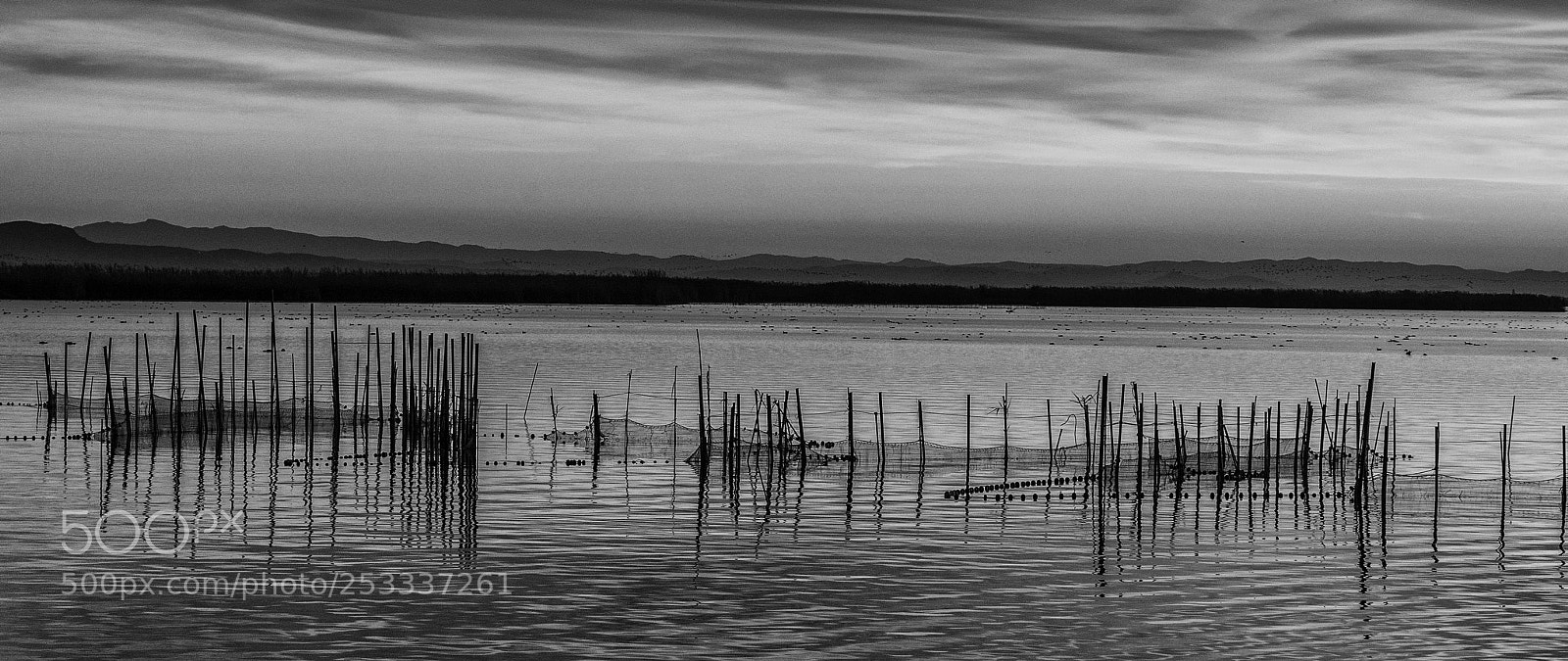 Sony a7R II sample photo. Albufera b&w photography