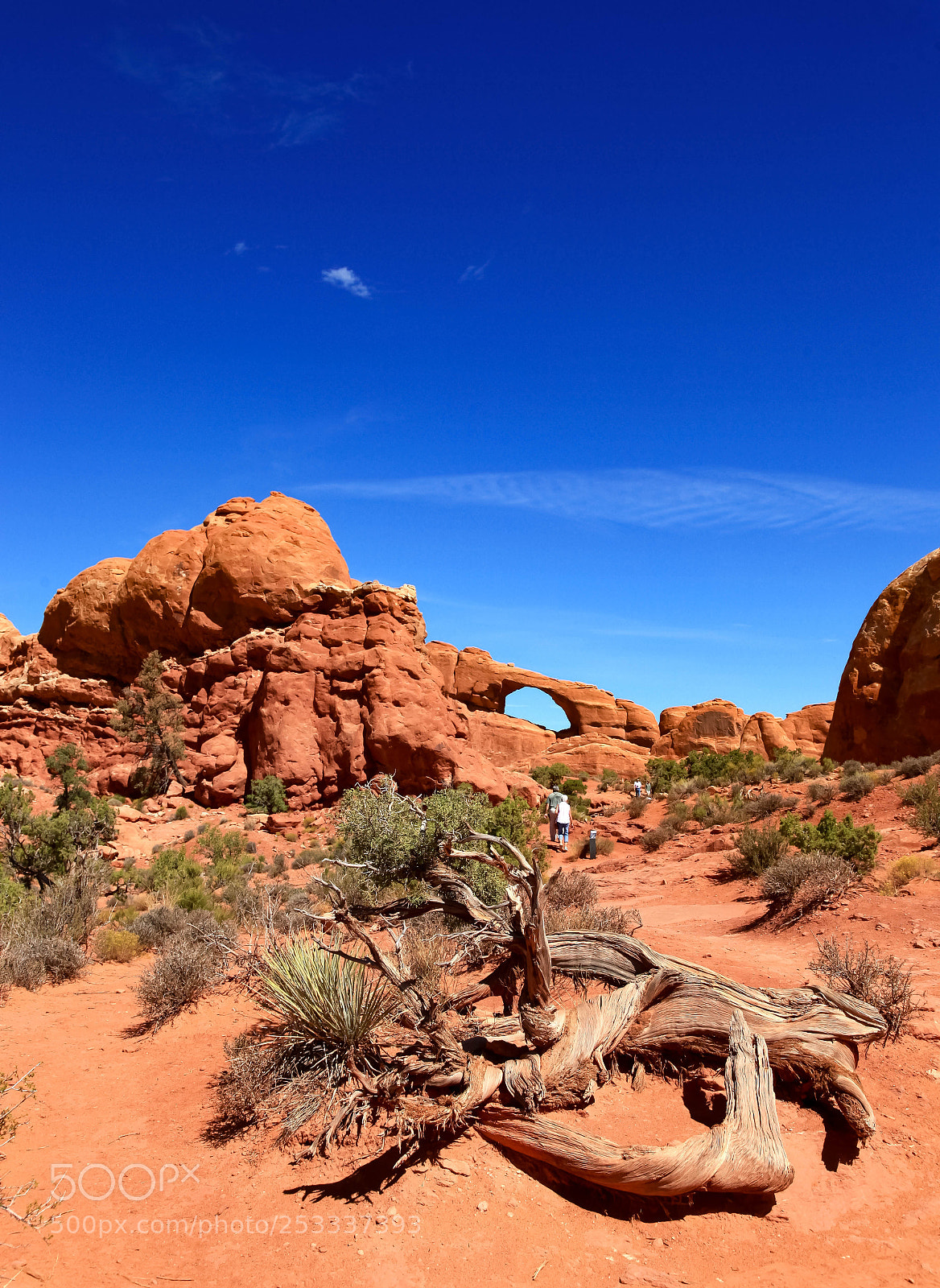 Canon EOS 5D Mark II sample photo. Arches photography