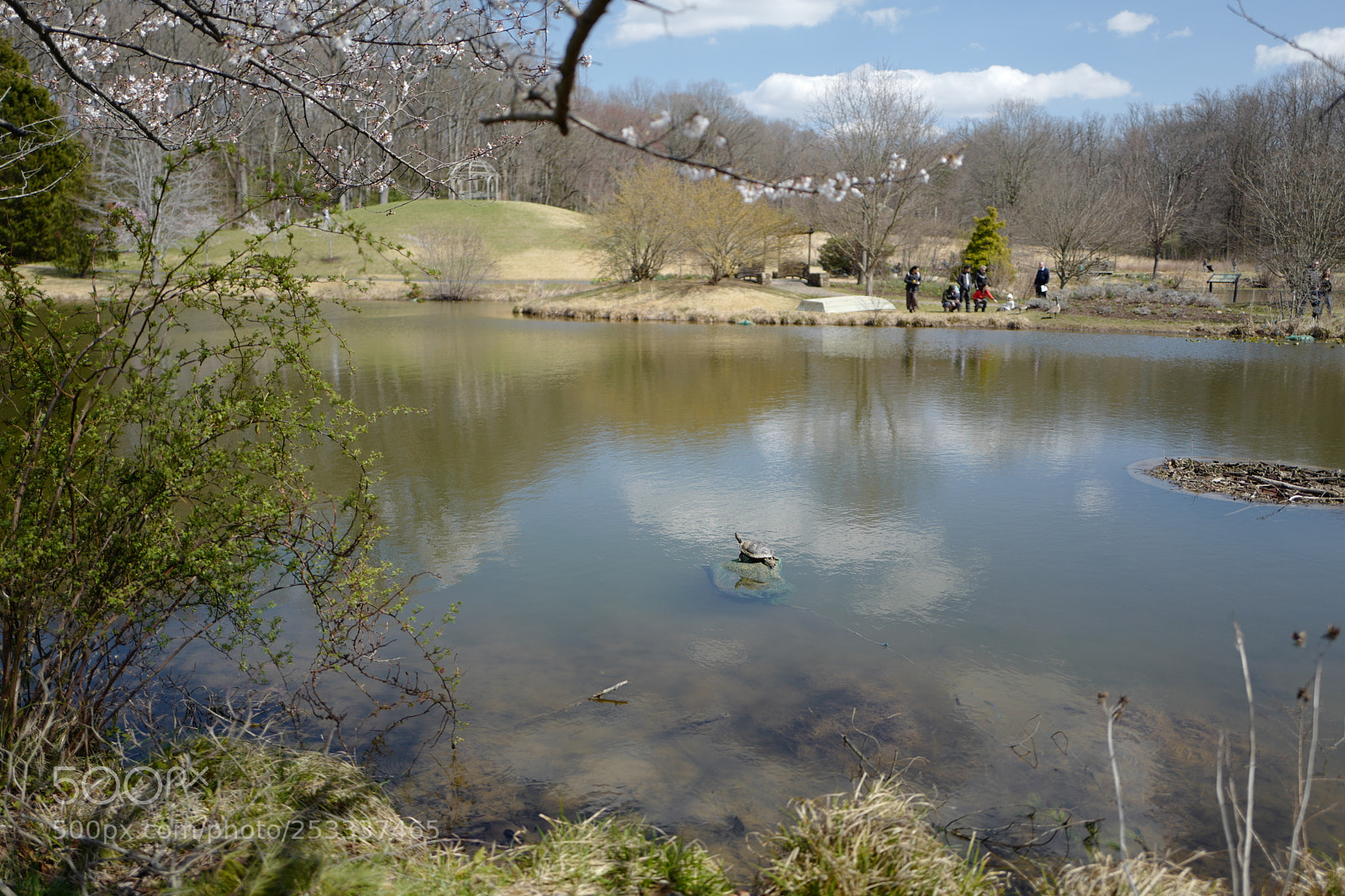 Leica Q (Typ 116) sample photo. Meadowlark gardens photography