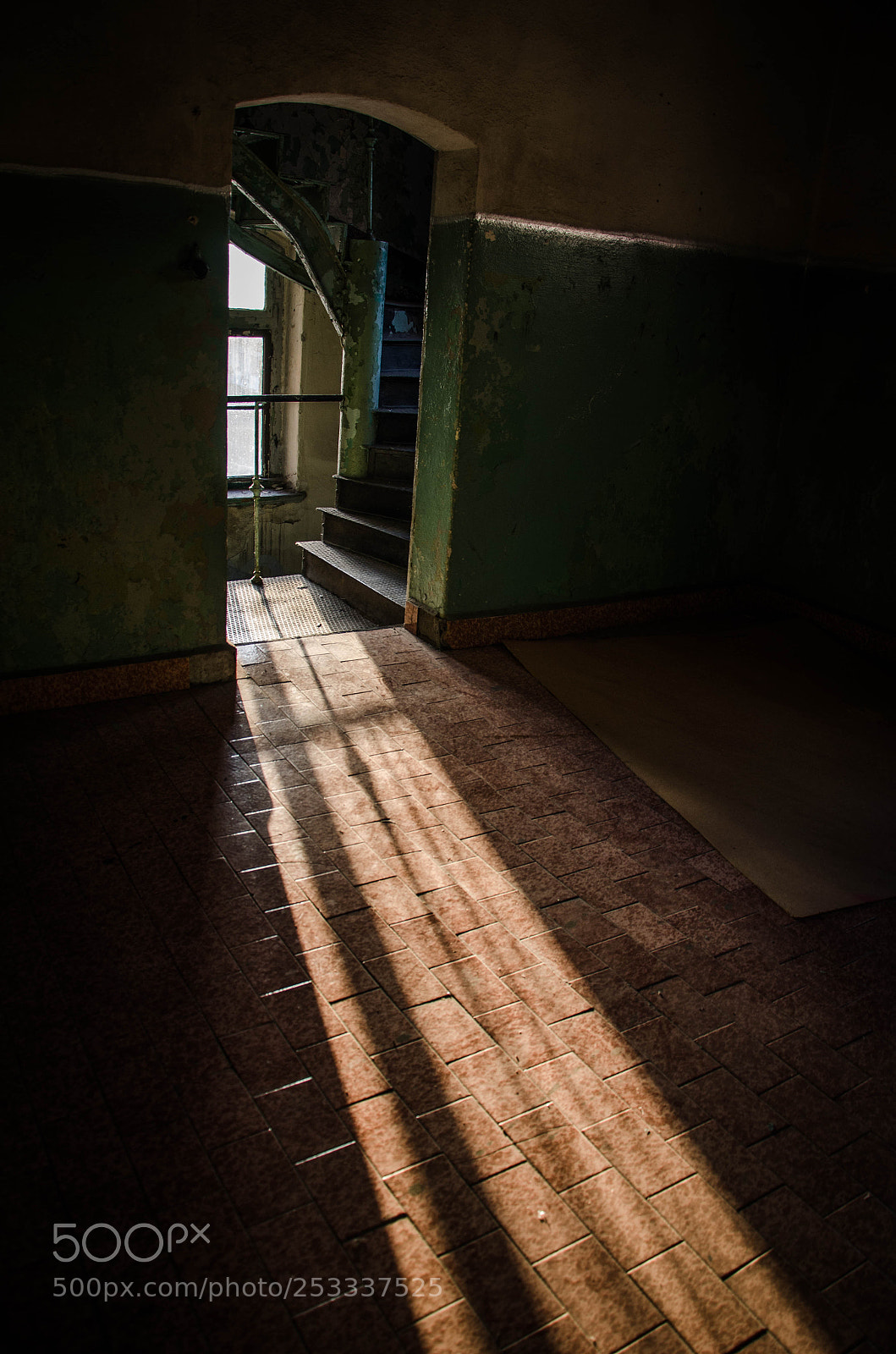 Nikon D7000 sample photo. Sunrays photography
