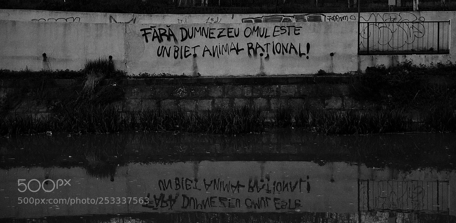Nikon D5100 sample photo. Quote of the day photography