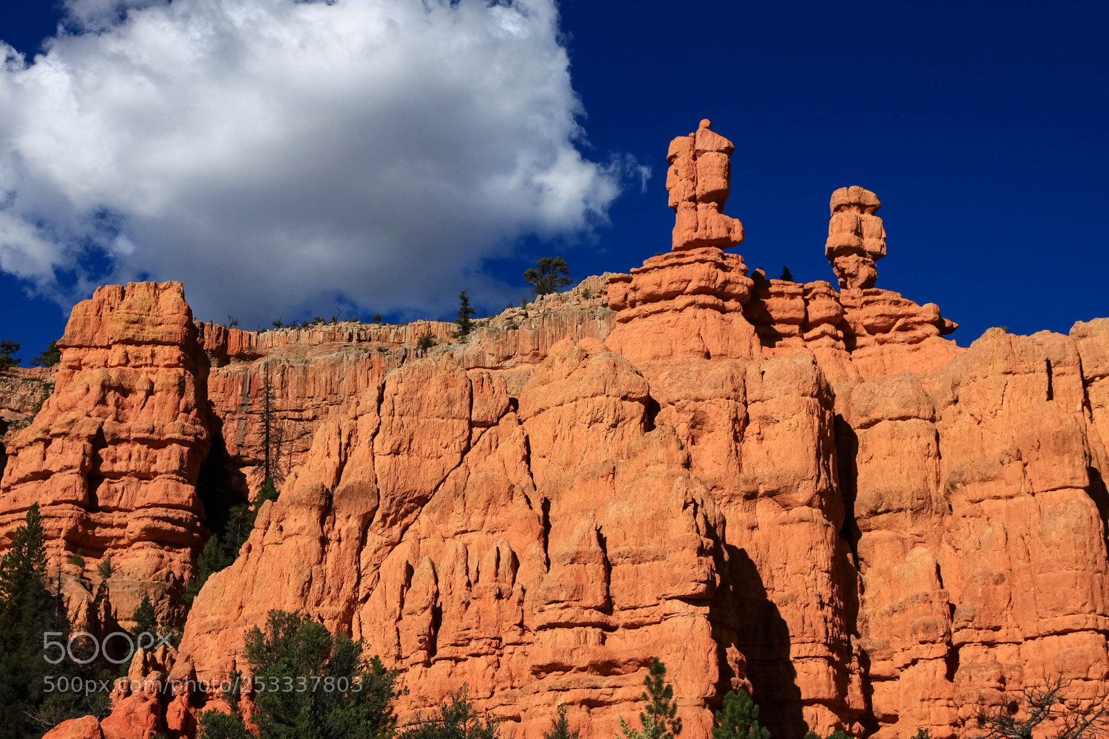 Canon EOS 5D Mark II sample photo. The landscape of utah photography