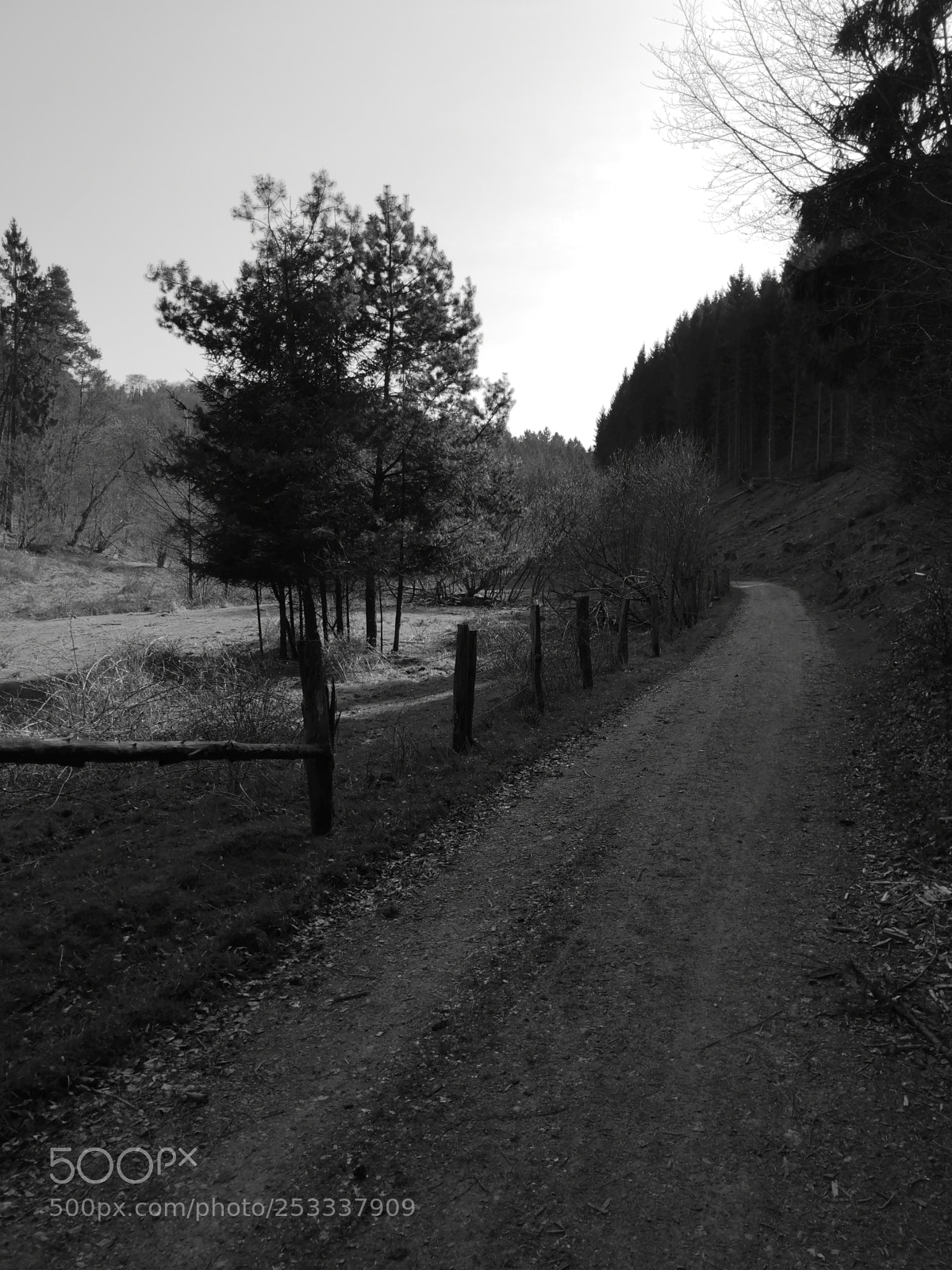 HUAWEI CLT-L29 sample photo. Leica triplecam photography
