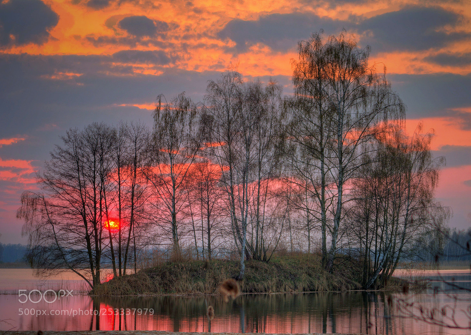 Pentax K-30 sample photo. Holm photography