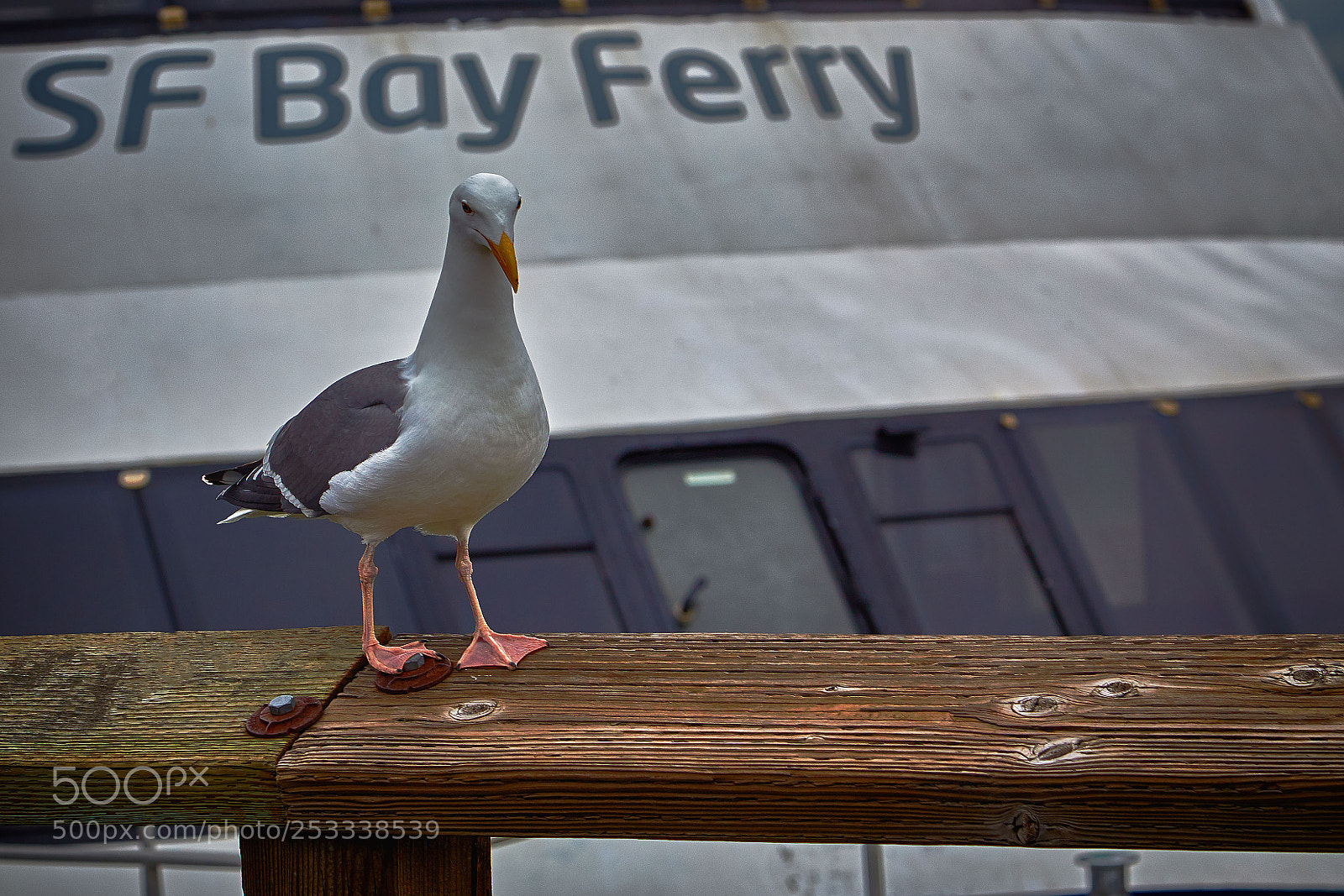 Canon EF 24-105mm F4L IS USM sample photo. San franco sea port photography